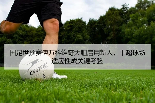 国足世预赛伊万科维奇大胆启用新人，中超球场适应性成关键考验