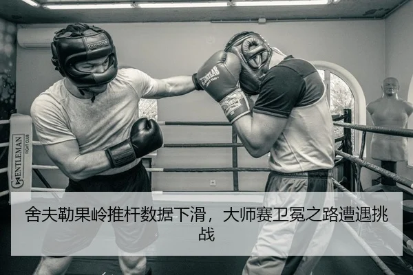 she-fu-lei-guo-ling-tui-gan-shu-ju-xia-hua-da-shi-sai-wei-mian-zhi-lu-zao-yu-tiao-zhan-2-127.jpg